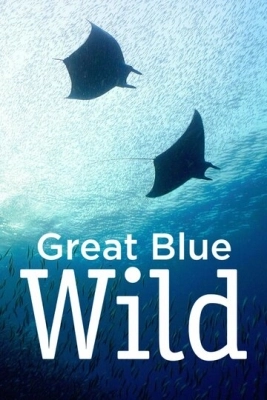 Great Blue Wild (2015) смотреть онлайн